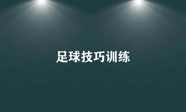 足球技巧训练