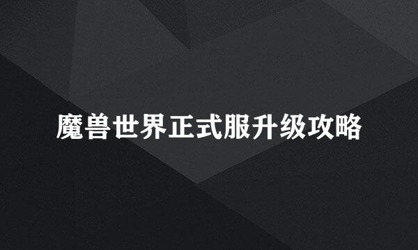 魔兽世界正式服升级攻略