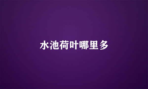水池荷叶哪里多