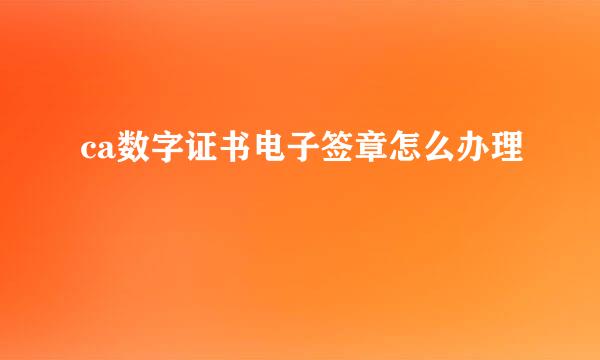 ca数字证书电子签章怎么办理