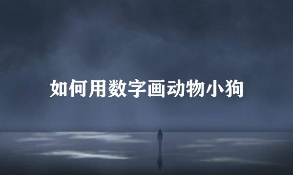 如何用数字画动物小狗