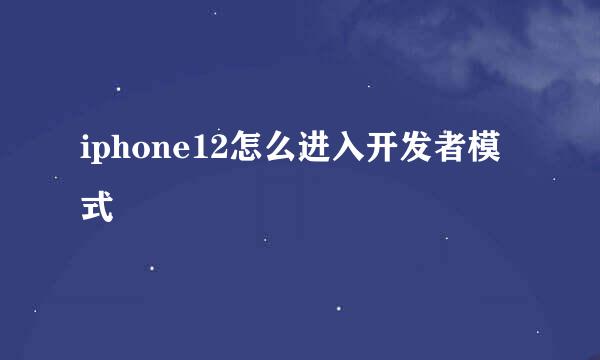 iphone12怎么进入开发者模式