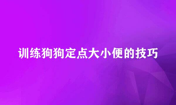 训练狗狗定点大小便的技巧