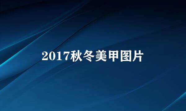 2017秋冬美甲图片