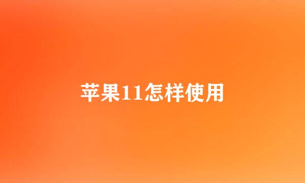苹果11怎样使用