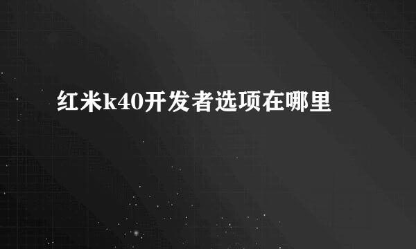 红米k40开发者选项在哪里