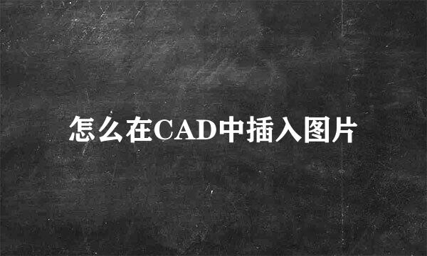 怎么在CAD中插入图片