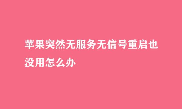 苹果突然无服务无信号重启也没用怎么办