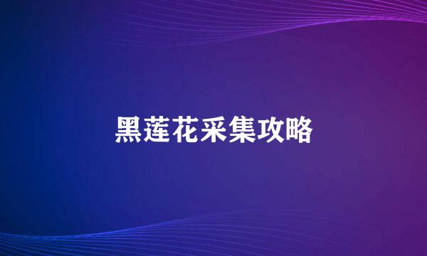 黑莲花采集攻略
