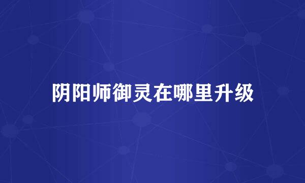 阴阳师御灵在哪里升级