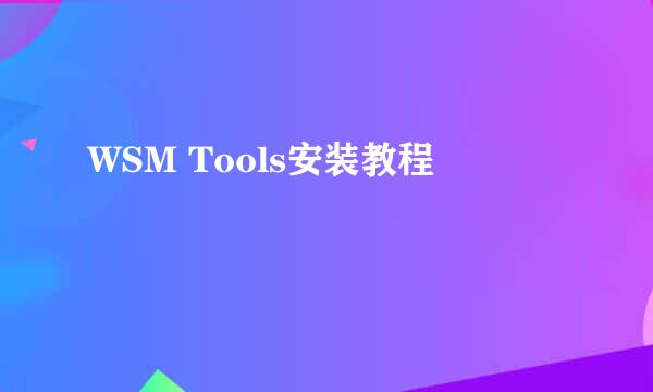 WSM Tools安装教程