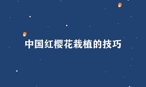 中国红樱花栽植的技巧