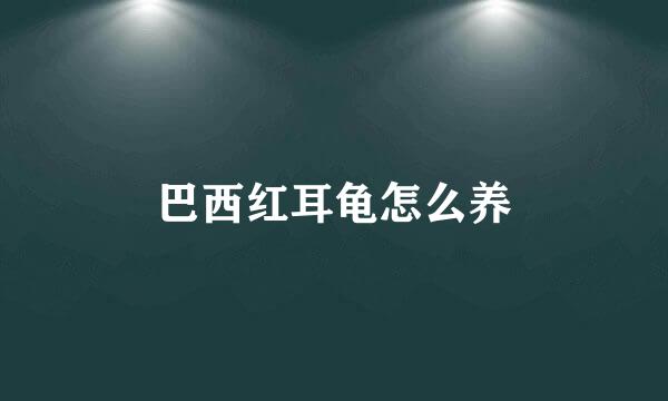 巴西红耳龟怎么养