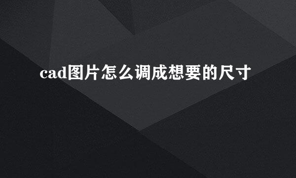 cad图片怎么调成想要的尺寸