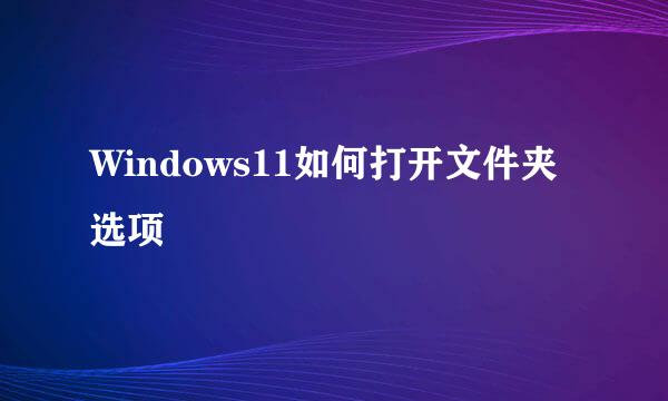 Windows11如何打开文件夹选项