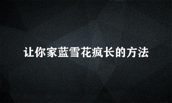 让你家蓝雪花疯长的方法
