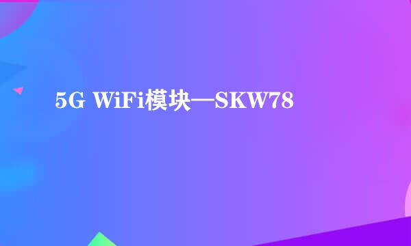 5G WiFi模块—SKW78