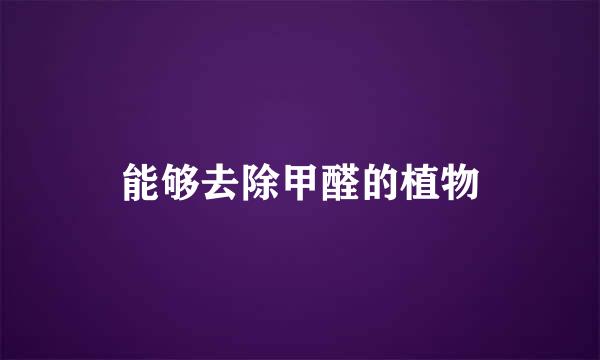 能够去除甲醛的植物