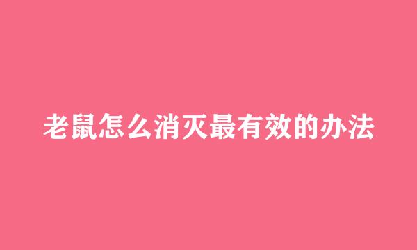 老鼠怎么消灭最有效的办法