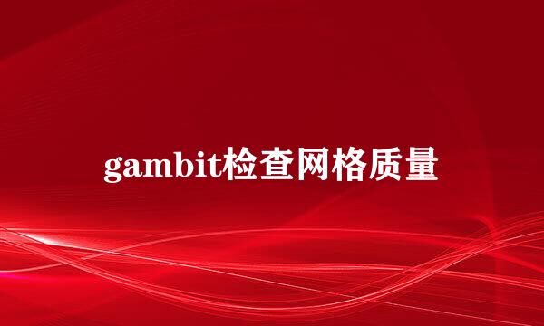 gambit检查网格质量