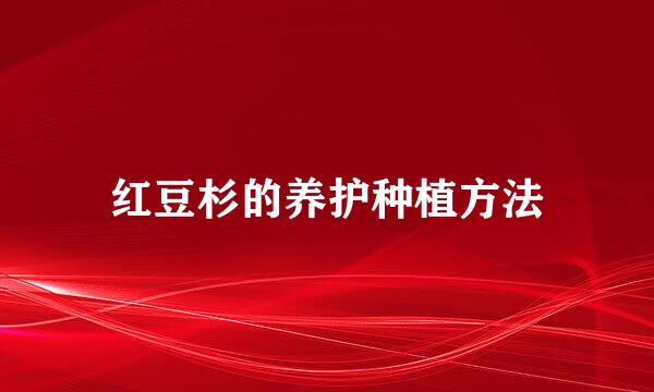 红豆杉的养护种植方法