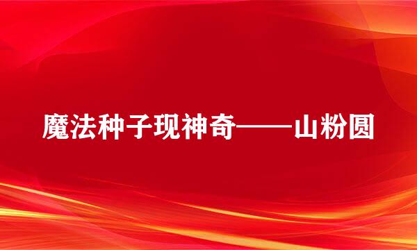 魔法种子现神奇——山粉圆