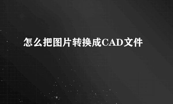 怎么把图片转换成CAD文件