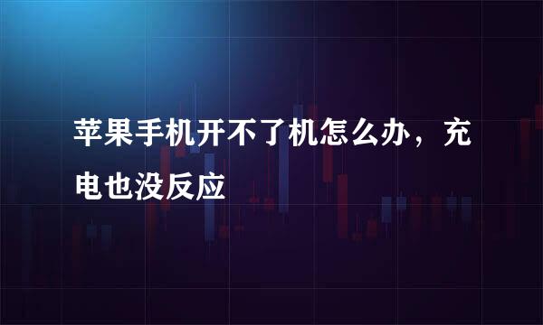 苹果手机开不了机怎么办，充电也没反应