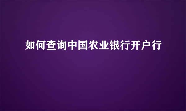 如何查询中国农业银行开户行