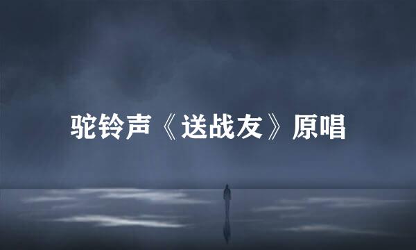 驼铃声《送战友》原唱
