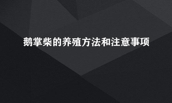 鹅掌柴的养殖方法和注意事项