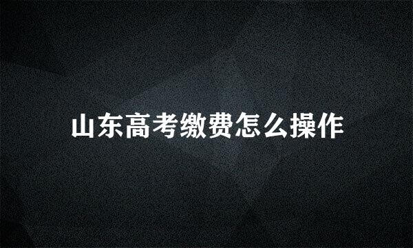 山东高考缴费怎么操作