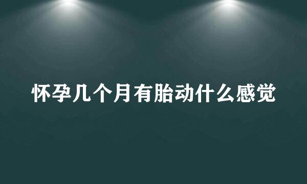怀孕几个月有胎动什么感觉