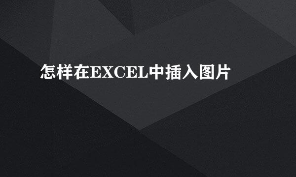 怎样在EXCEL中插入图片