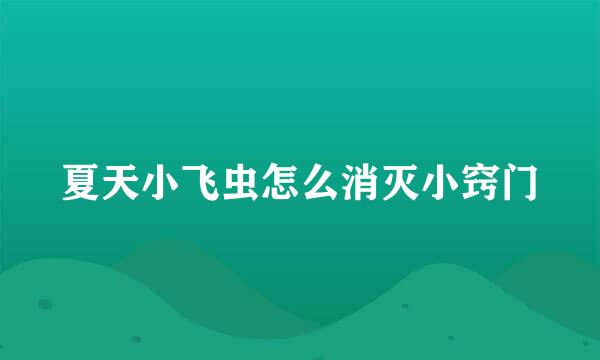 夏天小飞虫怎么消灭小窍门