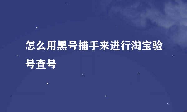 怎么用黑号捕手来进行淘宝验号查号