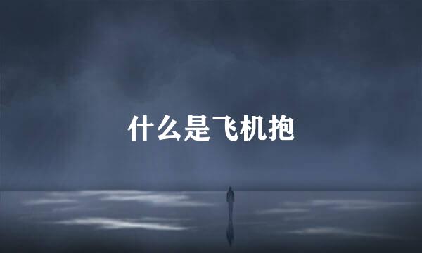 什么是飞机抱