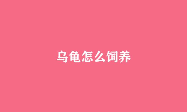 乌龟怎么饲养