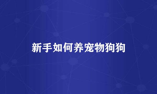 新手如何养宠物狗狗