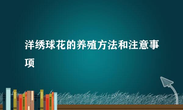 洋绣球花的养殖方法和注意事项