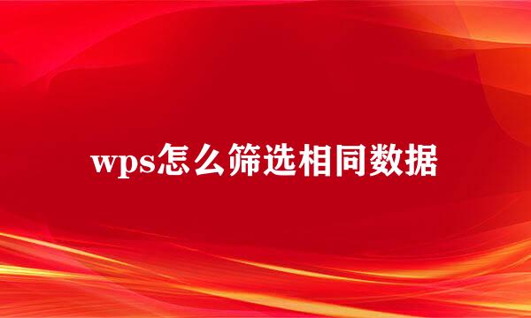 wps怎么筛选相同数据
