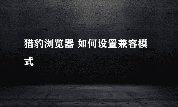 猎豹浏览器 如何设置兼容模式