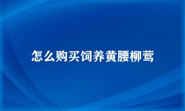 怎么购买饲养黄腰柳莺
