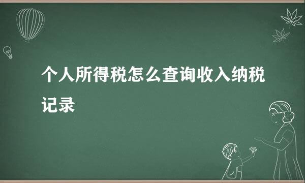 个人所得税怎么查询收入纳税记录