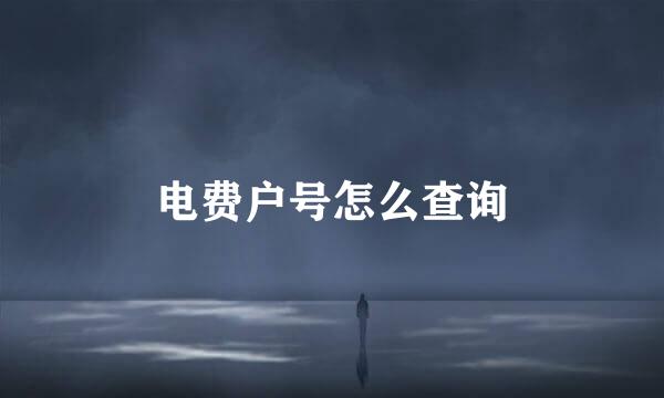 电费户号怎么查询