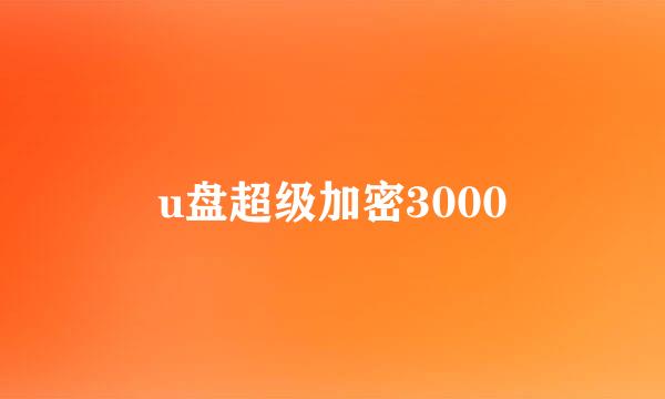 u盘超级加密3000