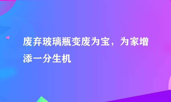 废弃玻璃瓶变废为宝，为家增添一分生机