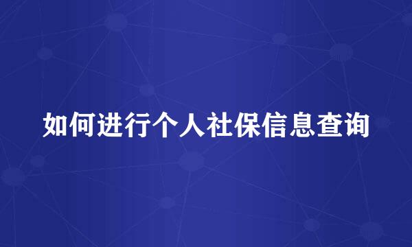 如何进行个人社保信息查询