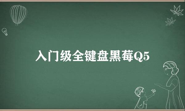 入门级全键盘黑莓Q5