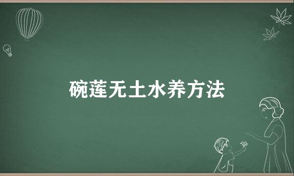 碗莲无土水养方法